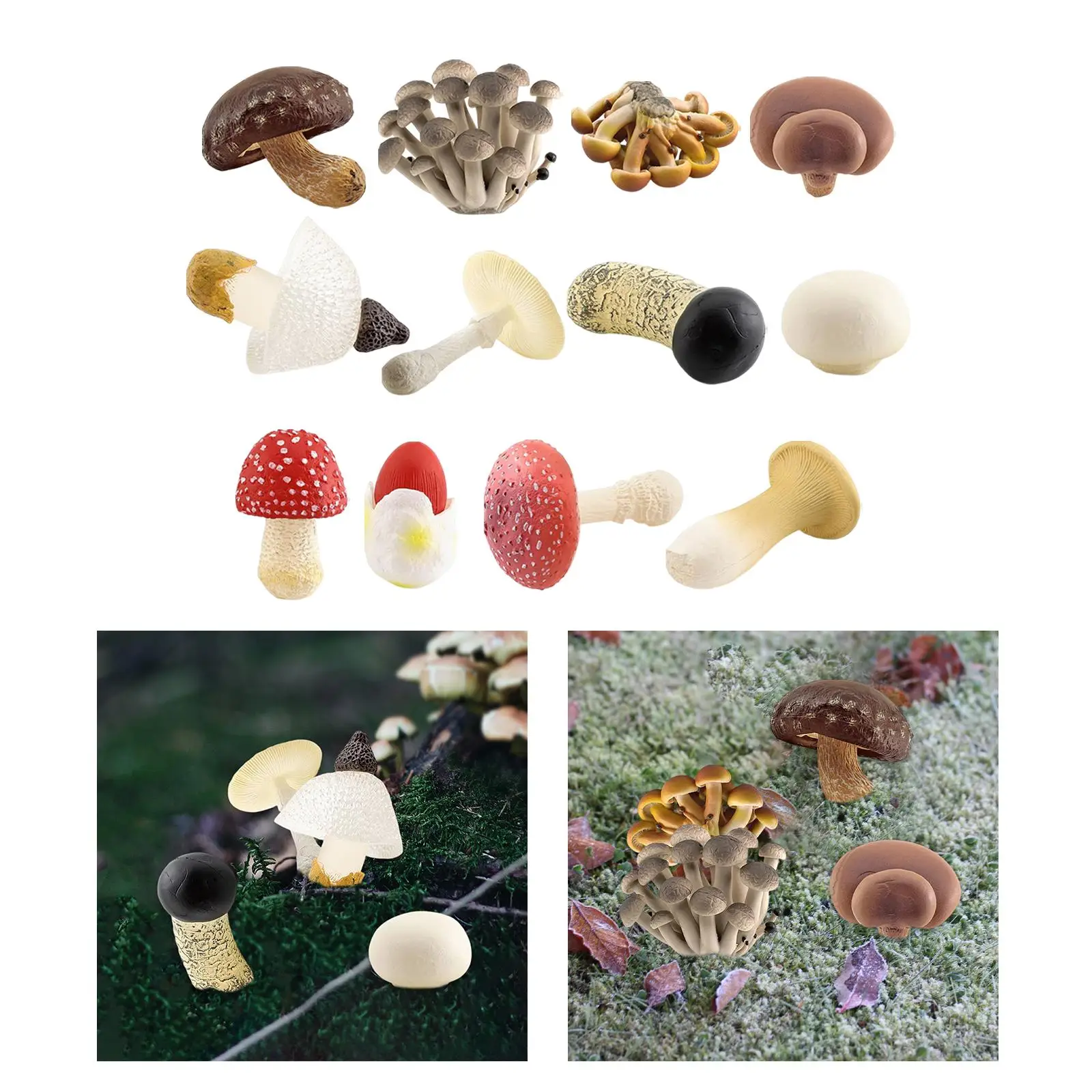 4 Pcs Mushroom Model Development Toys Collectible Decorations Educational
