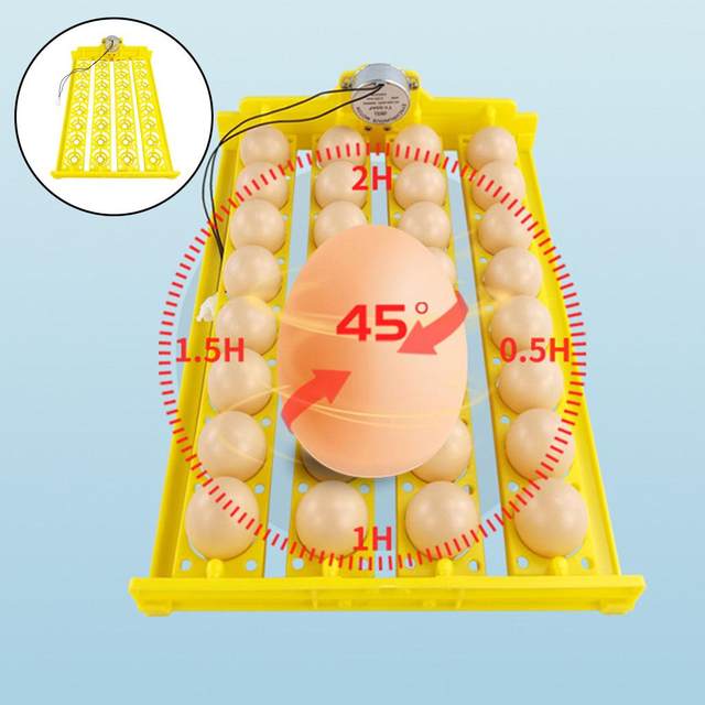 Egg Incubator Tray, Automatic Hatcher Tray, Holds 32 Eggs for Bird Duck Chick