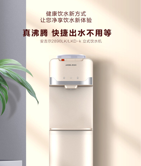 Ecostar water fashion dispenser