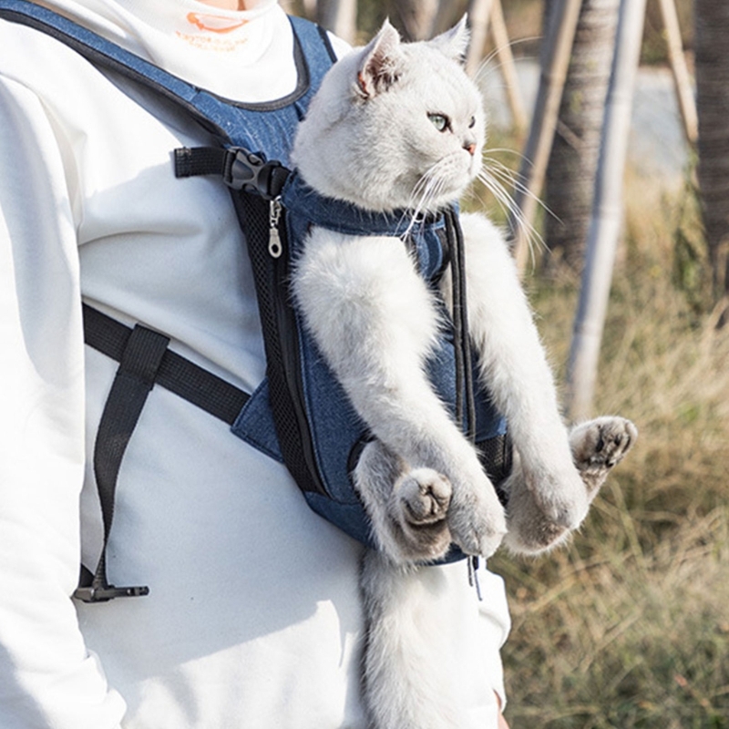 Title 8, Haustier-Rucksack, Tragetasche für Katzen, Hund...