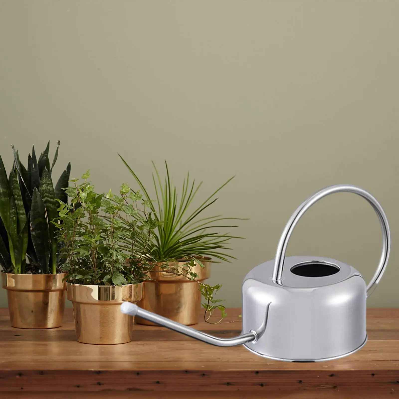 Long Spout Watering Can Slender Nozzle Plants Shower Small Kettle Sprinkling Pot for Small Fruit Home Bonsai Friends Gardeners