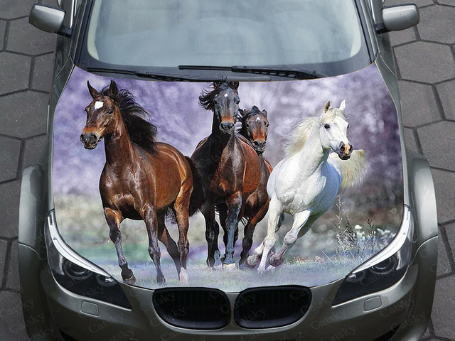 Horse Sunset Vinyl Hood Wrap Bonnet Decal Sticker Graphic outlet Universal Fit