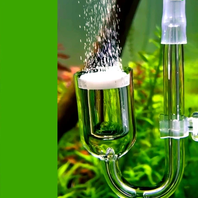 Difusor de CO2, Nano CO2 difusor de vidrio reactor para acuario plantado  tanque (difusor de CO2)