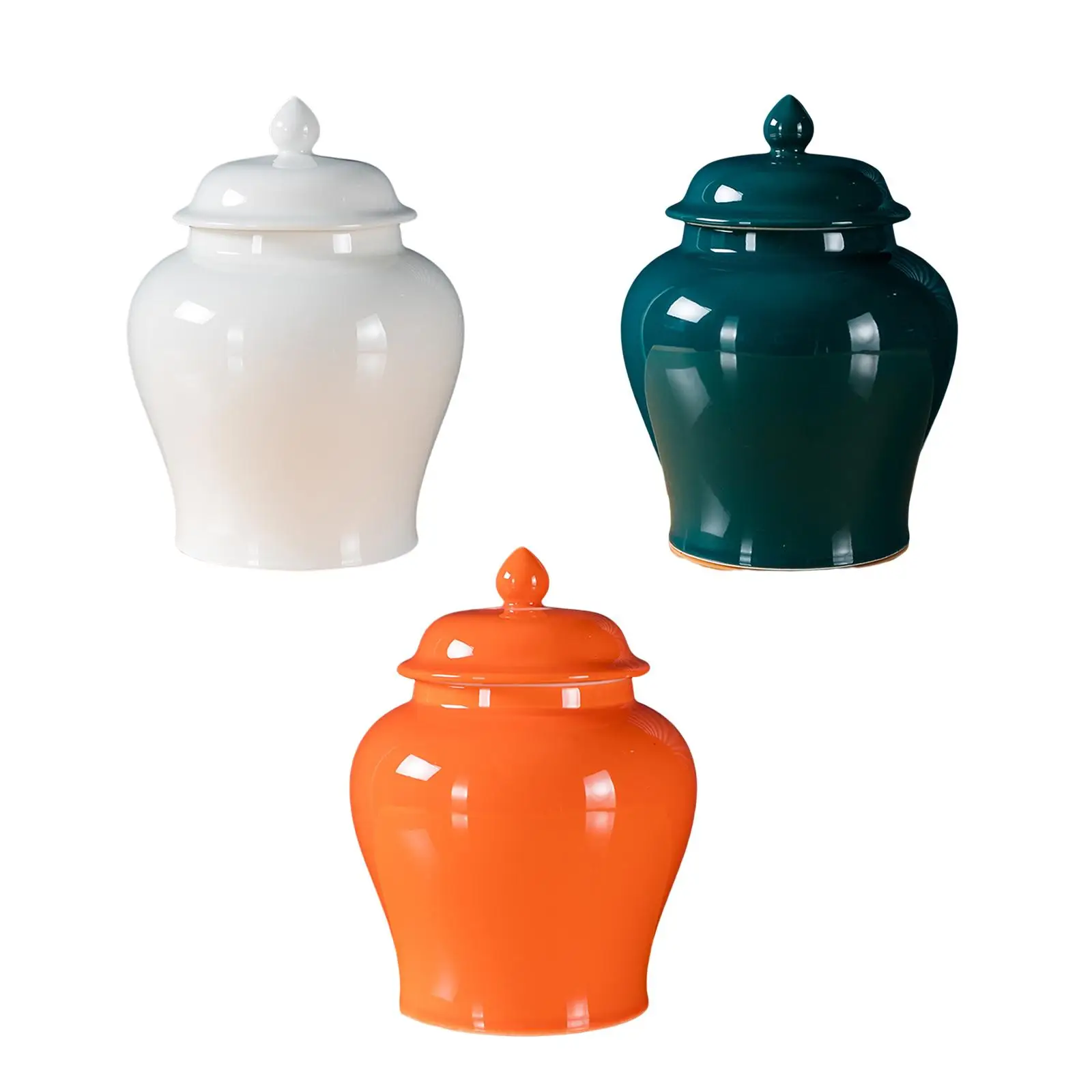 Porcelain Ginger Jars Can Indoor Plants Holder Table Centerpiece Temple Jar