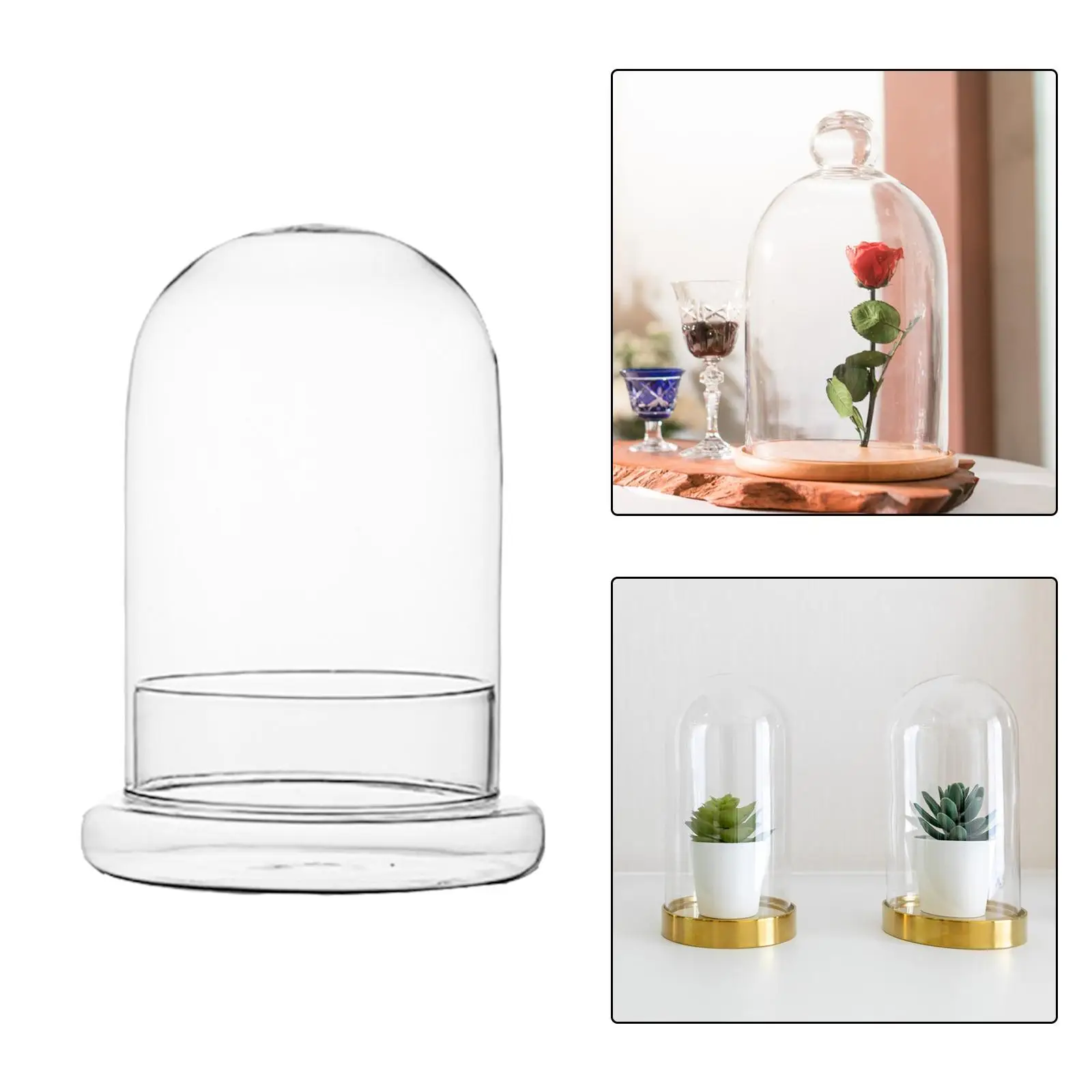 Micro Landscape Vase Landscape Container Plants Bottle for Party Indoor Desk