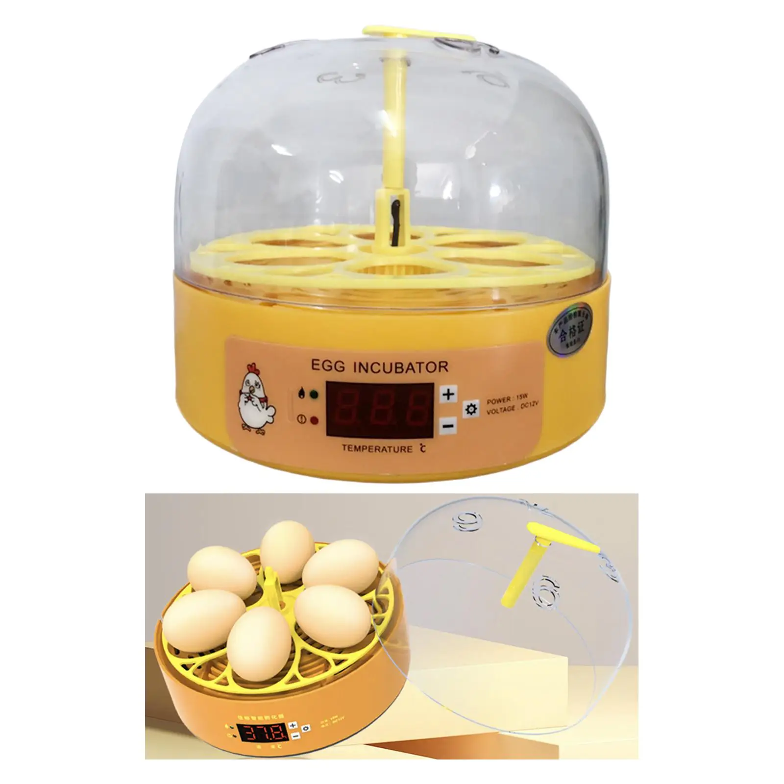 6 Eggs Incubator Hatching Machine Duck Eggs Hatcher Children Experimental