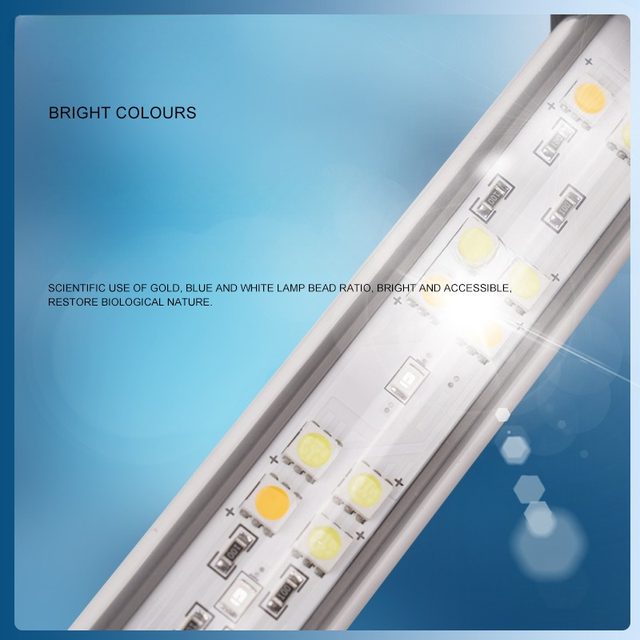 キ*ン様 Arowana Magical Light Series Koi light 5D Arowana special color magic light 240 degrees