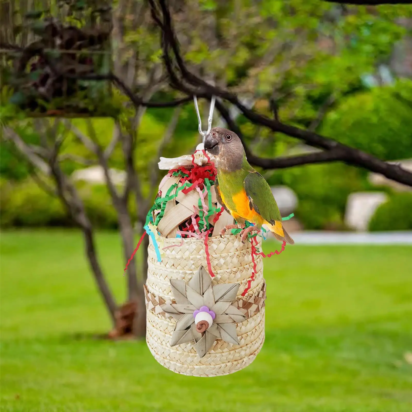 Bird Chewing Toy Decorative Funny Bird Parrot Toy for Macaw Finches Training