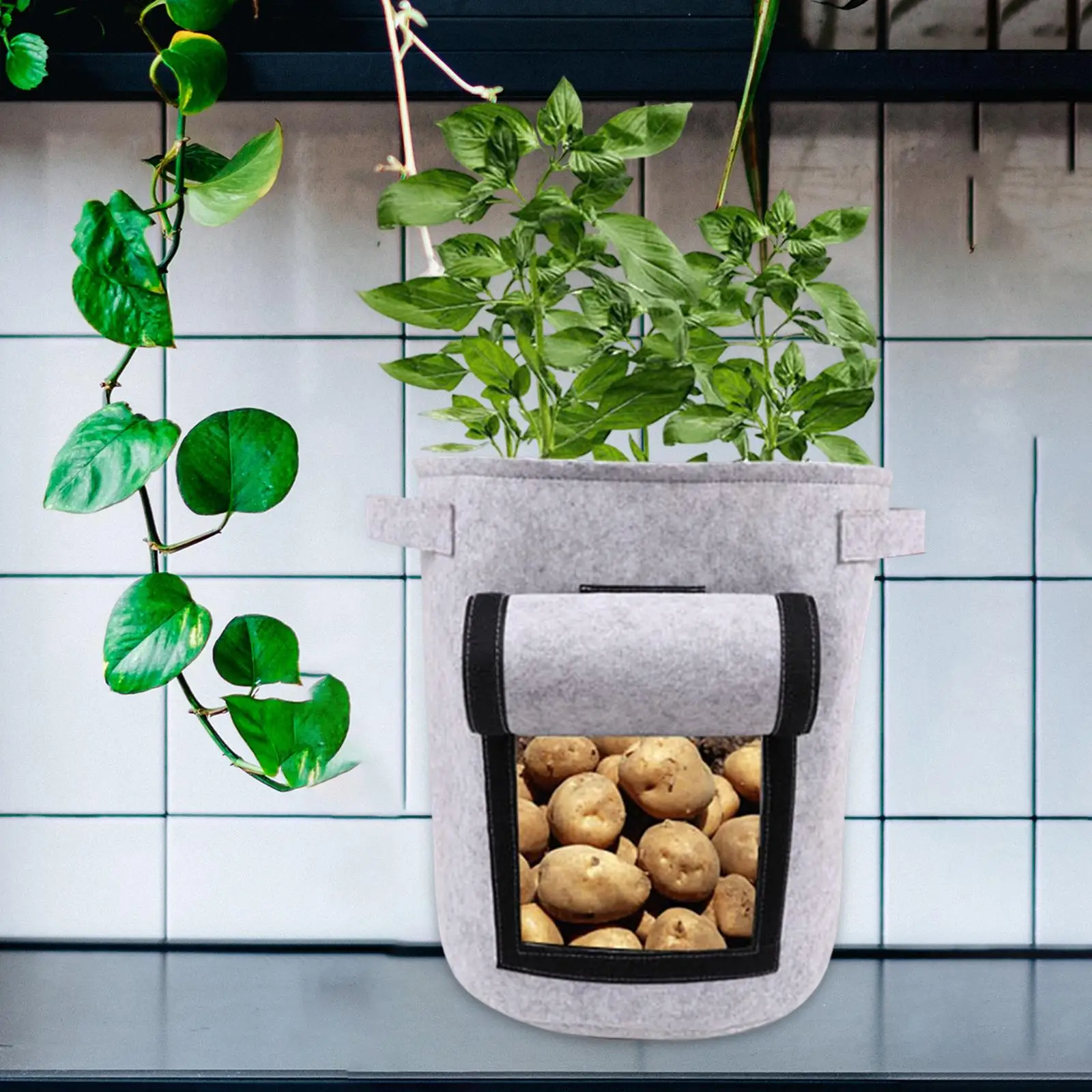 Potato Grow Bag and Harvest Window with Handle Thickened Nonwoven Fabric Pots for Onion