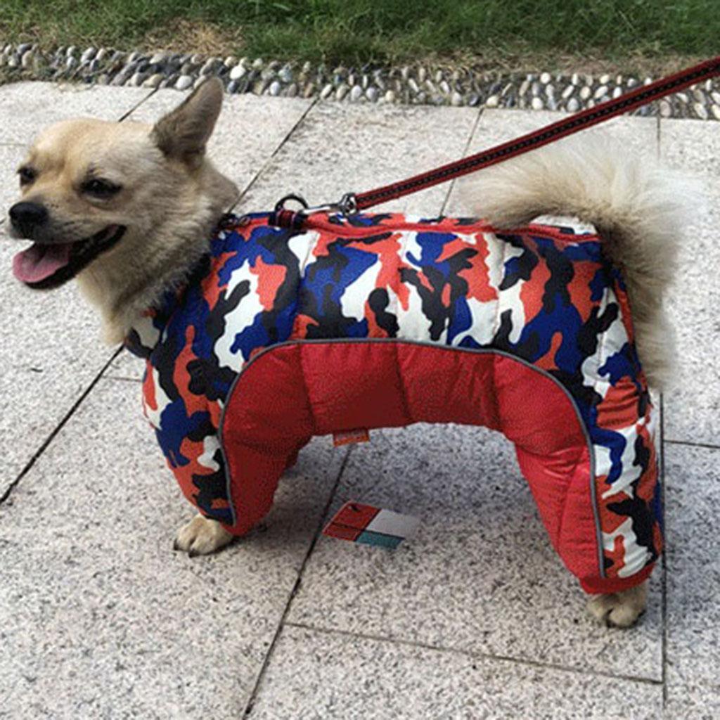 columbia dog coats