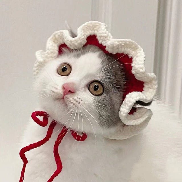 Handmade Knitted maid Hat for Cat, Headgear, Cat Headdress, Pet  Accessories, British Shorthair Ragdoll, Cute Stuff Cosplay