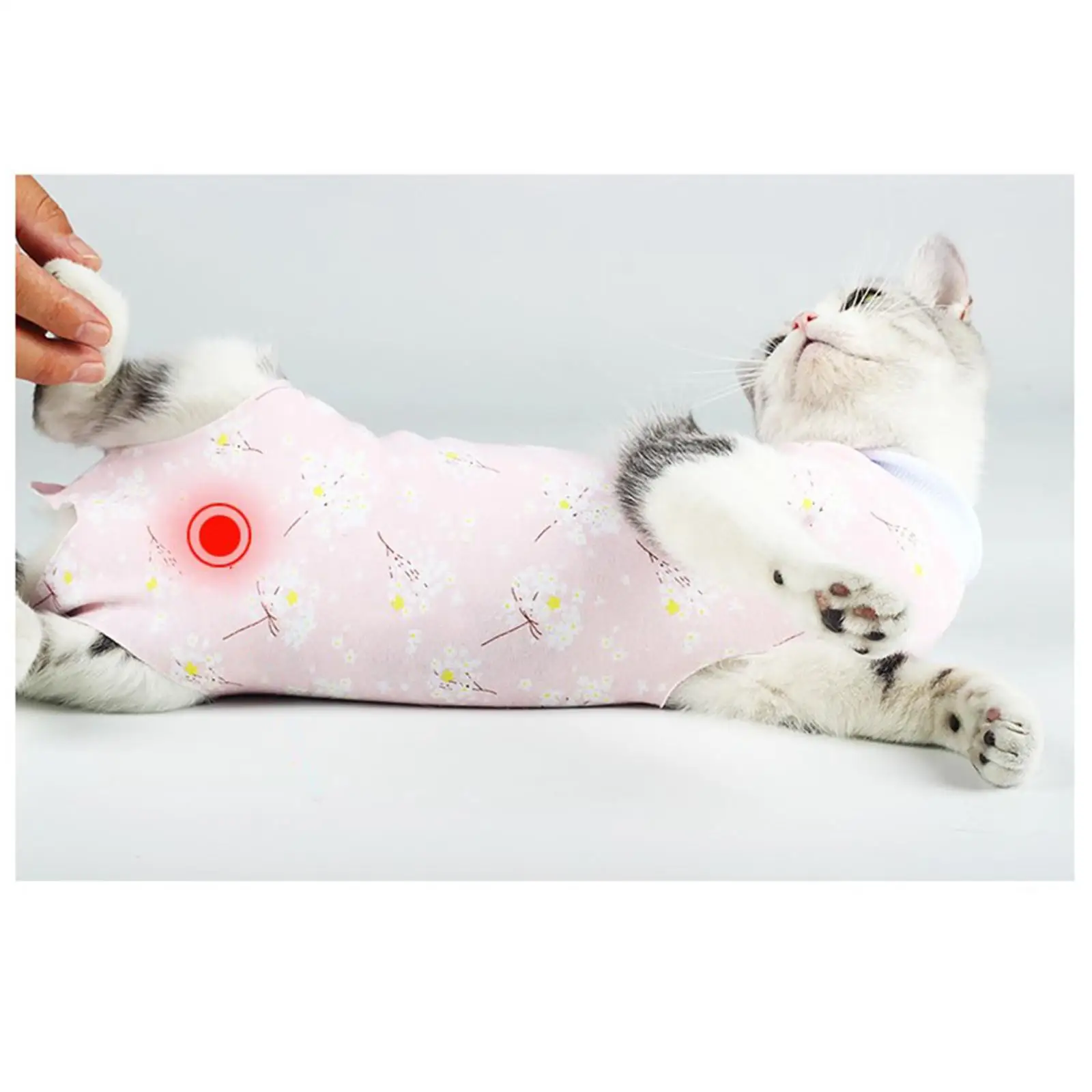 Cat Recovery Suit Clothes Anti Leak Protection wearing Pants Vest Pajama Breathable for Puppy Indoor Home Cats Kittens