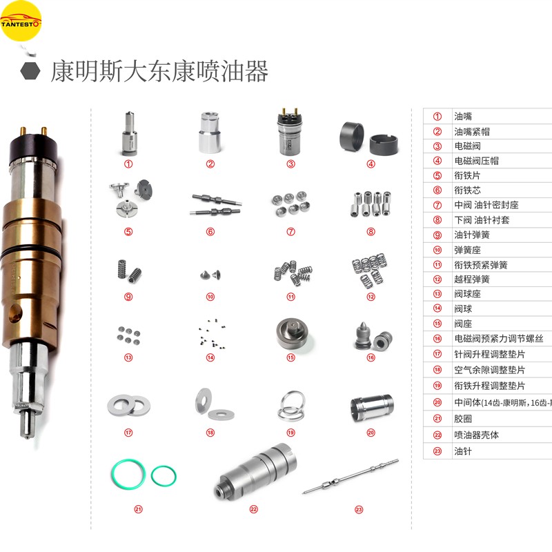 6 Stück/Set Diesel Common Rail Injektor Düse Ankerkern Feder Reparatur-Kits für Cummins XPI 2872544 4307475 – Detail 1