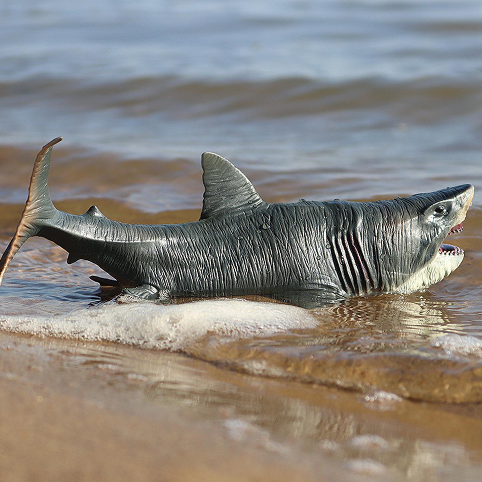 Shark Figure Megalodon Model Creature Animal Shark Toy for Party Favors Boys