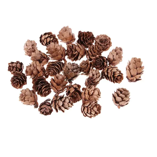 30pcs Small Dried Pine Cones Accents Home Decoration Ornaments - AliExpress