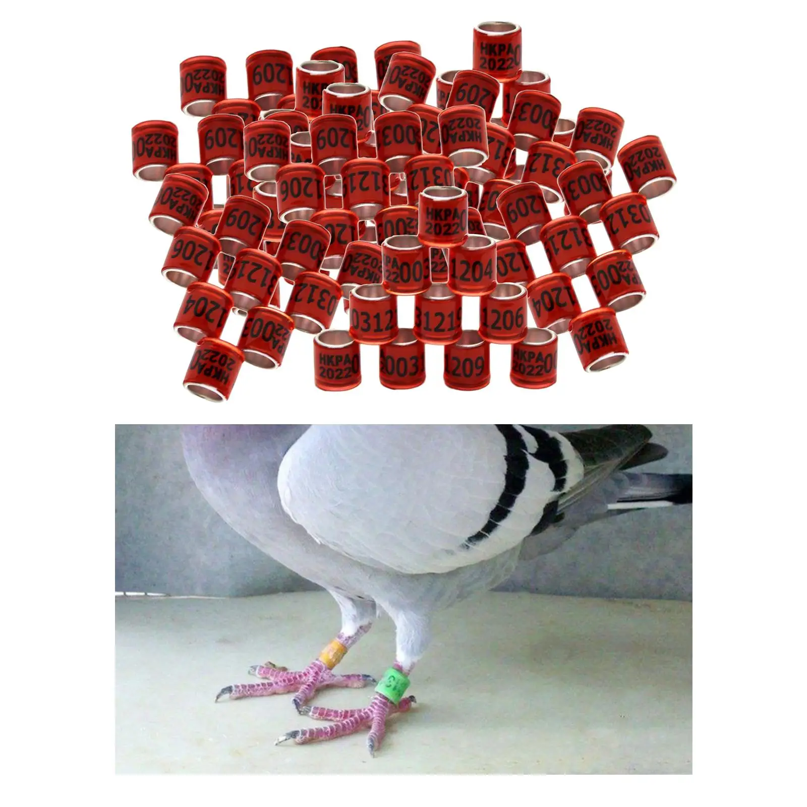 100Pcs 2022 Aluminium  Racing Pigeon Foot Rings Bands 8mm