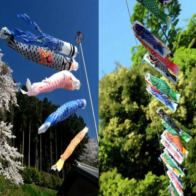 Manche à Air Carpe Japonaise - Décoration Intérieur Ou Extérieur - 60 Cm - En Satin Coloré - Idée Cadeau Originale Et Festive