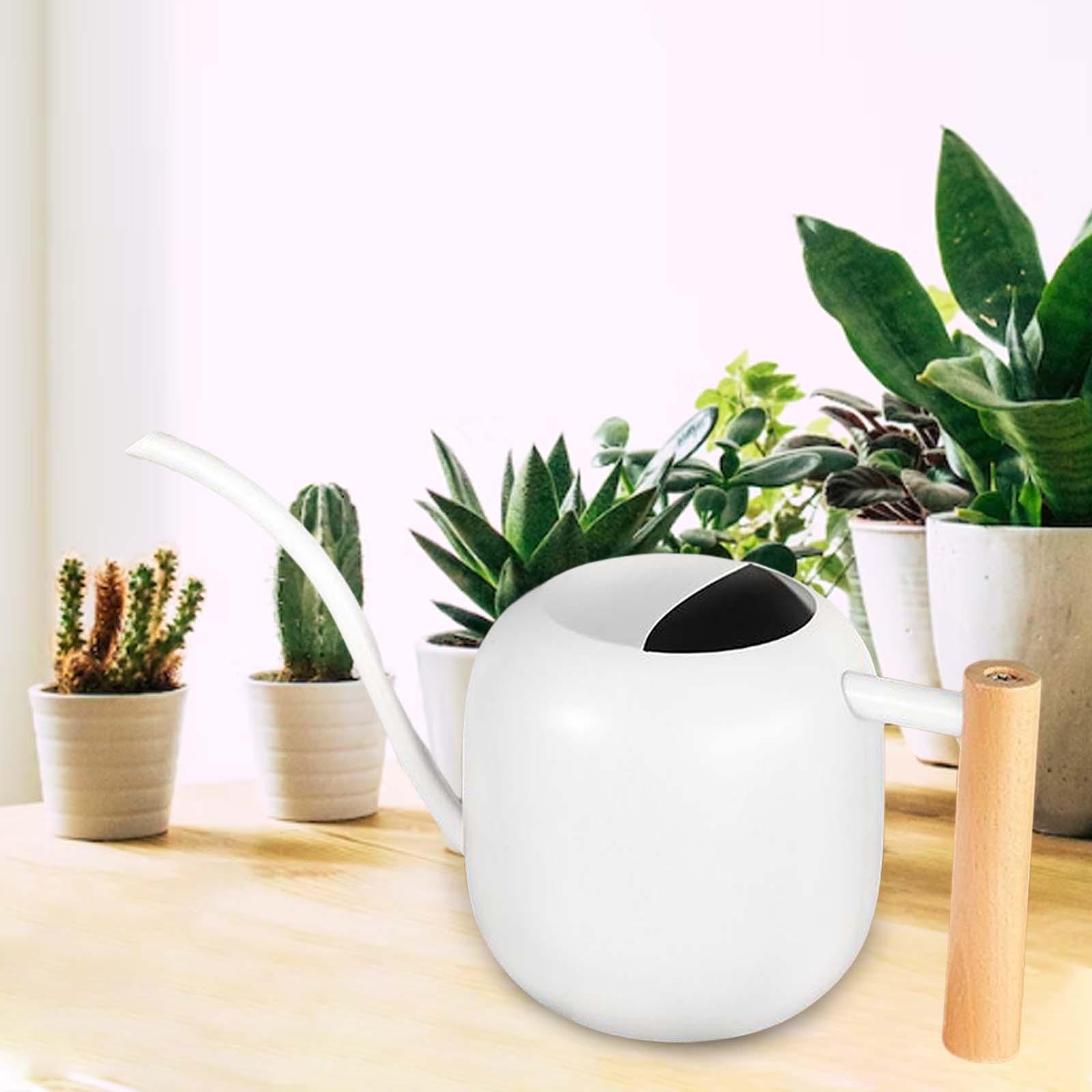 Mini Watering Can with Long Mouth Watering Flower Kettle for Bonsai Patio Outdoor Garden Decor