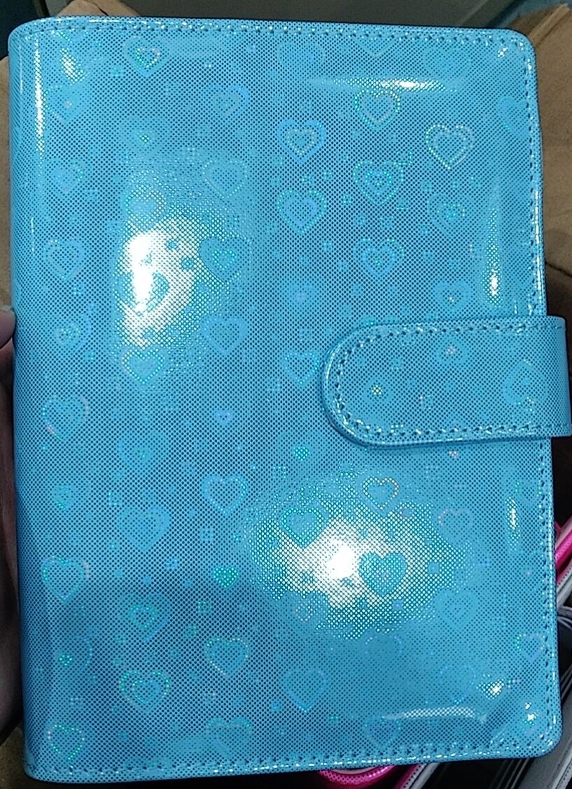 Planner, Sistema Organizador, bolsos com zíper claro, Despesa Orçamento Sheets, A6