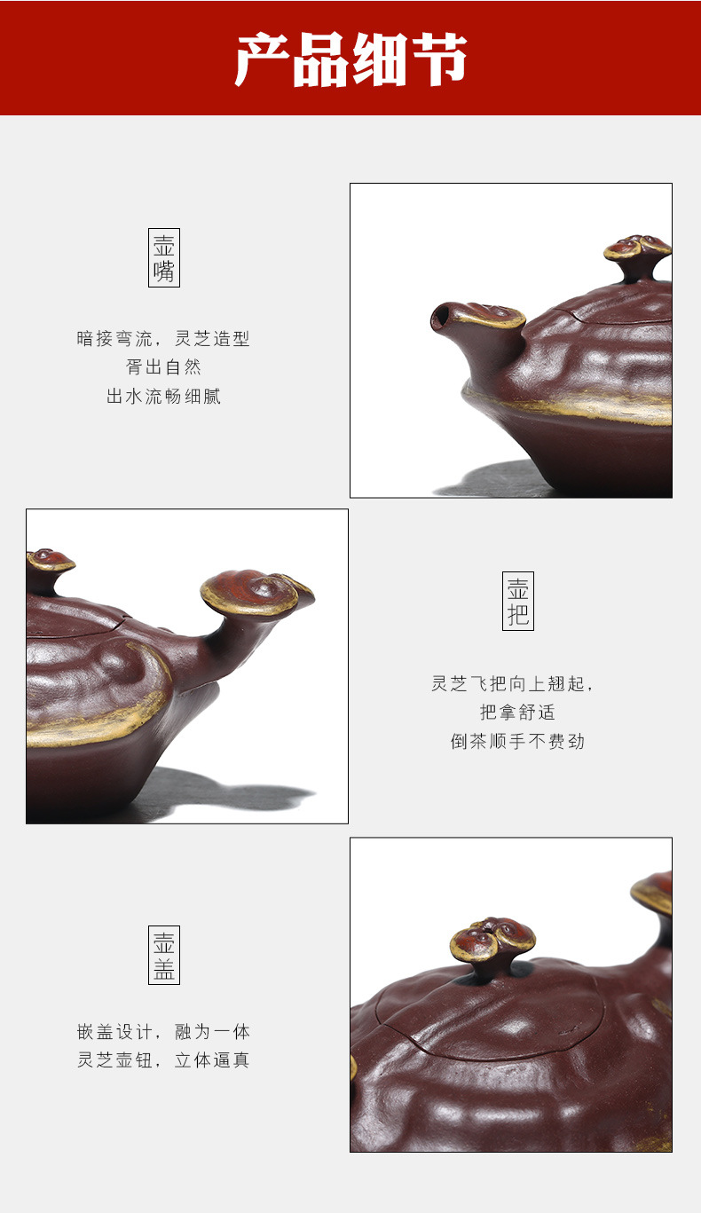Ganoderma Ruyi_20.jpg