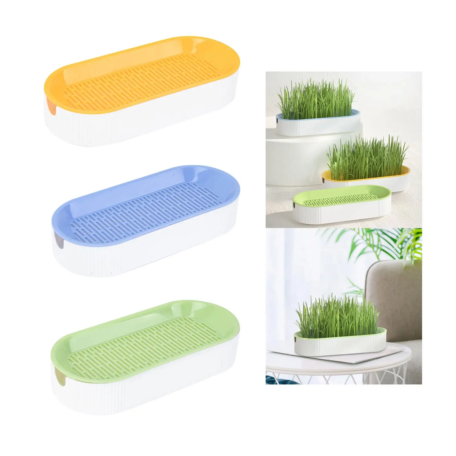 Cat Grass Planter Tray with Drain Holes Wheatgrass Grower Seed Sprouter Tray