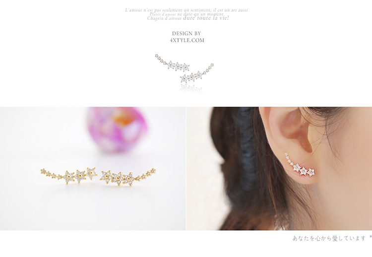 REETI Neue hochwertige super glänzende Stern Zirkon 925 Sterling Silber Ohrring für Frauen Schmuck Großhandel Geschenk – Detail 2