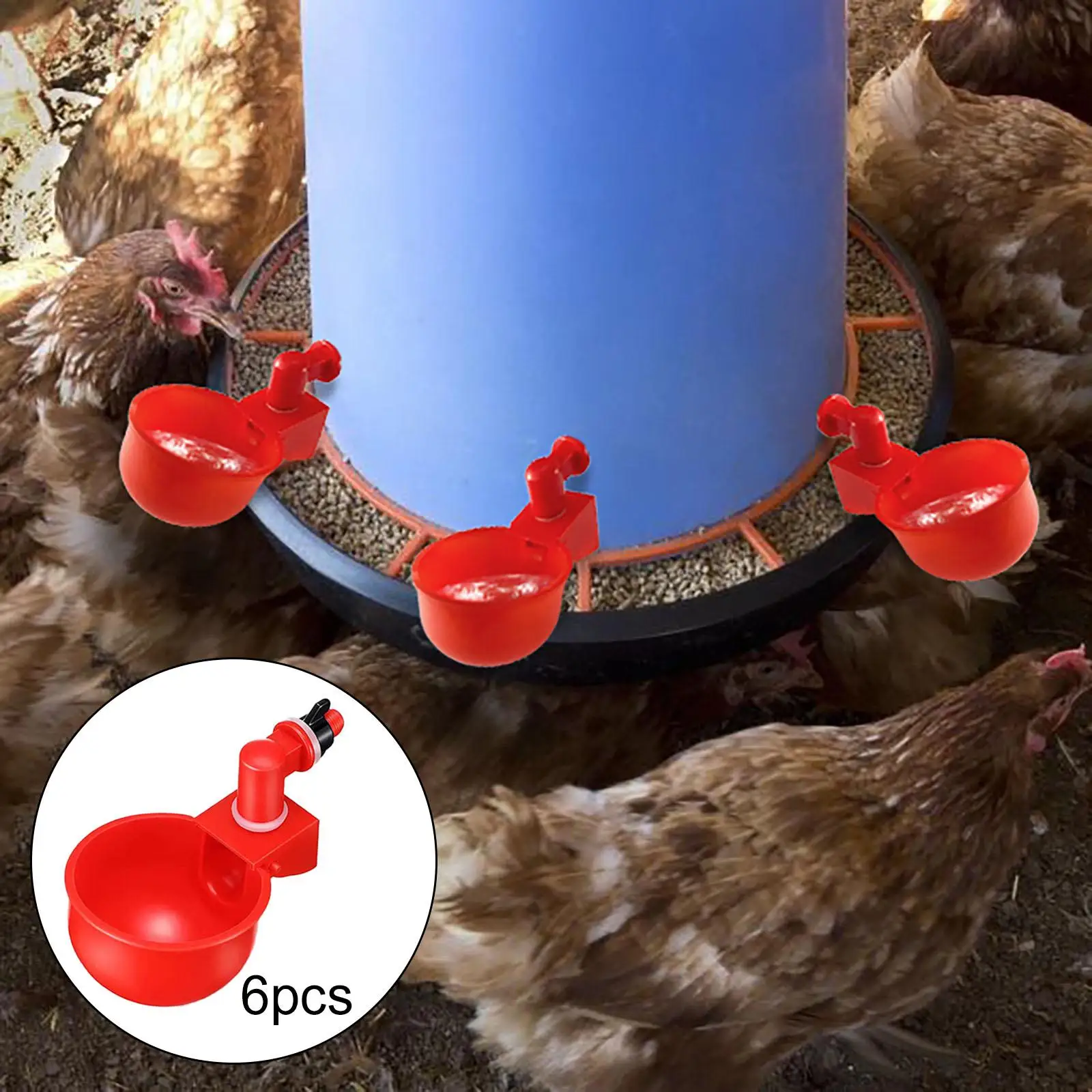 6x Chicken  Waterers Cups Watering Cups for Goose Ducks Poultry