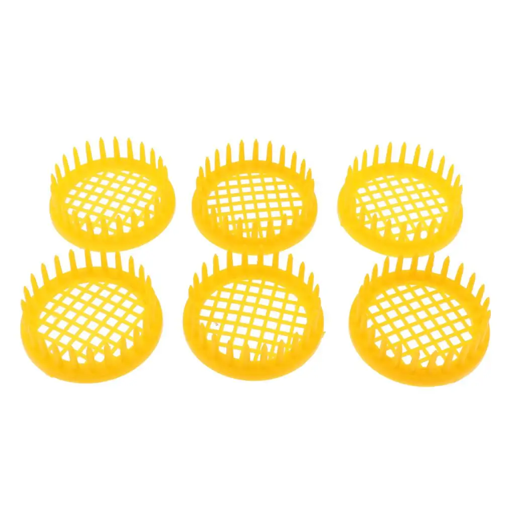 6Pcs  Bee Cages Isolator Rearing Catcher Trapper Beekeeping Tool