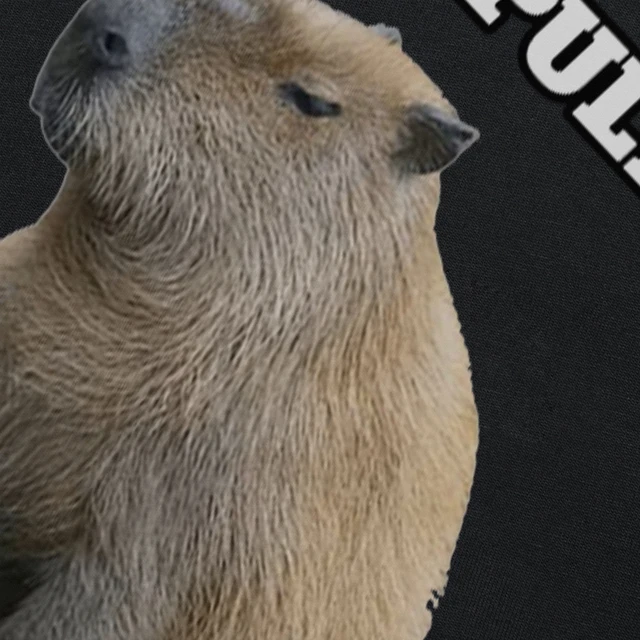 Capybara Nummernschild Rahmen Ok I Pull Up Lustige Goth