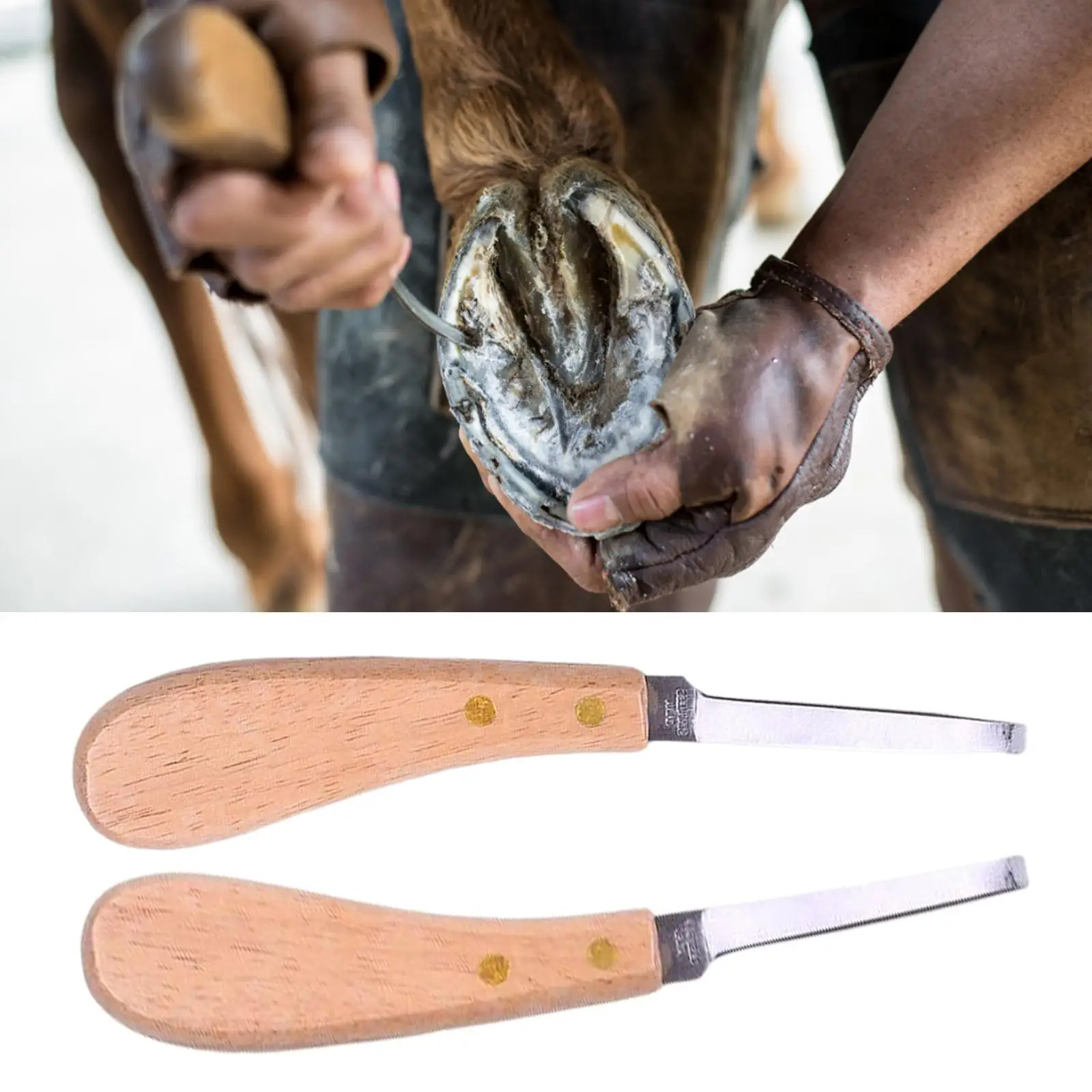 Cattle Hoof Cutter Farrier Nippers Right or Left Handed Comfortable Grip Hoof Nipperss Plier Hoof Knife for Livestock Pig Horse