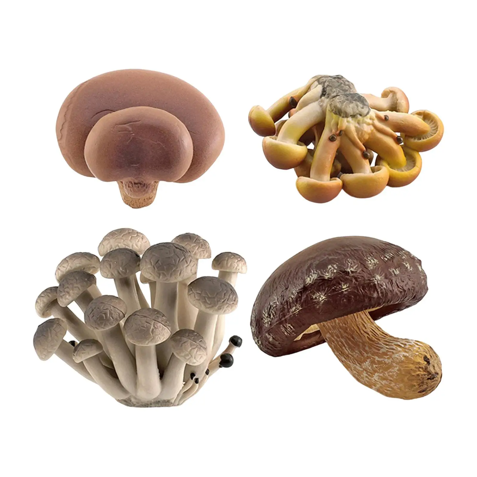 4 Pieces Mushroom Model Educational Toy Vegetable Statues for Girls Boys