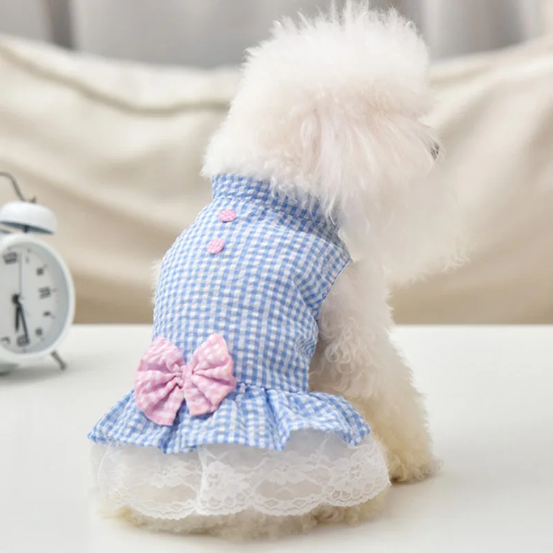 Un pequeño perro blanco que lleva un vestido de cuadros azules y blancos con un lazo rosa en la espalda. El perro parece ser un Bichon Frise, una raza conocida por su pelaje rizado y esponjoso.