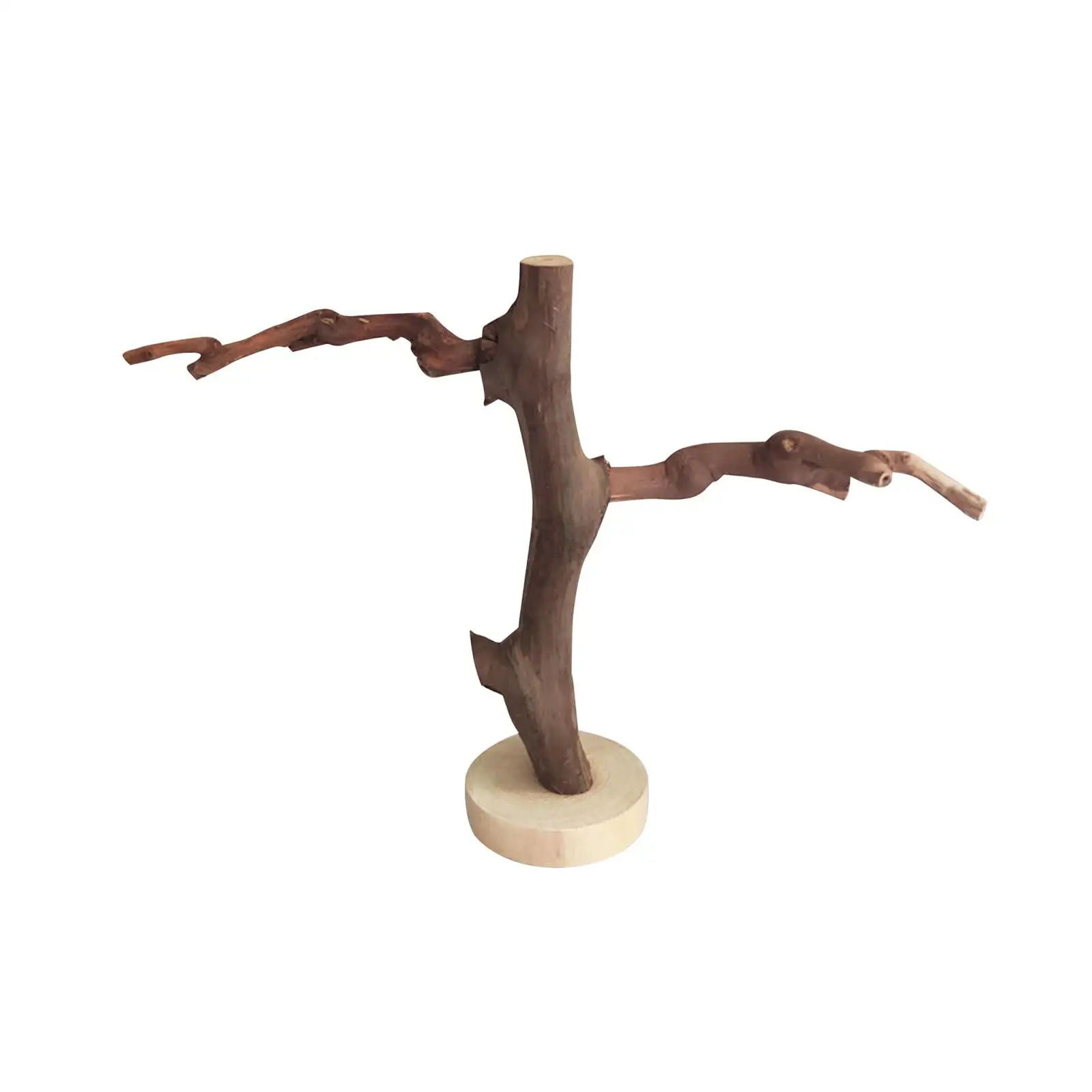 Parrot Stand Parrot Perches Tree Branches for Bird Parakeets Chew Toys