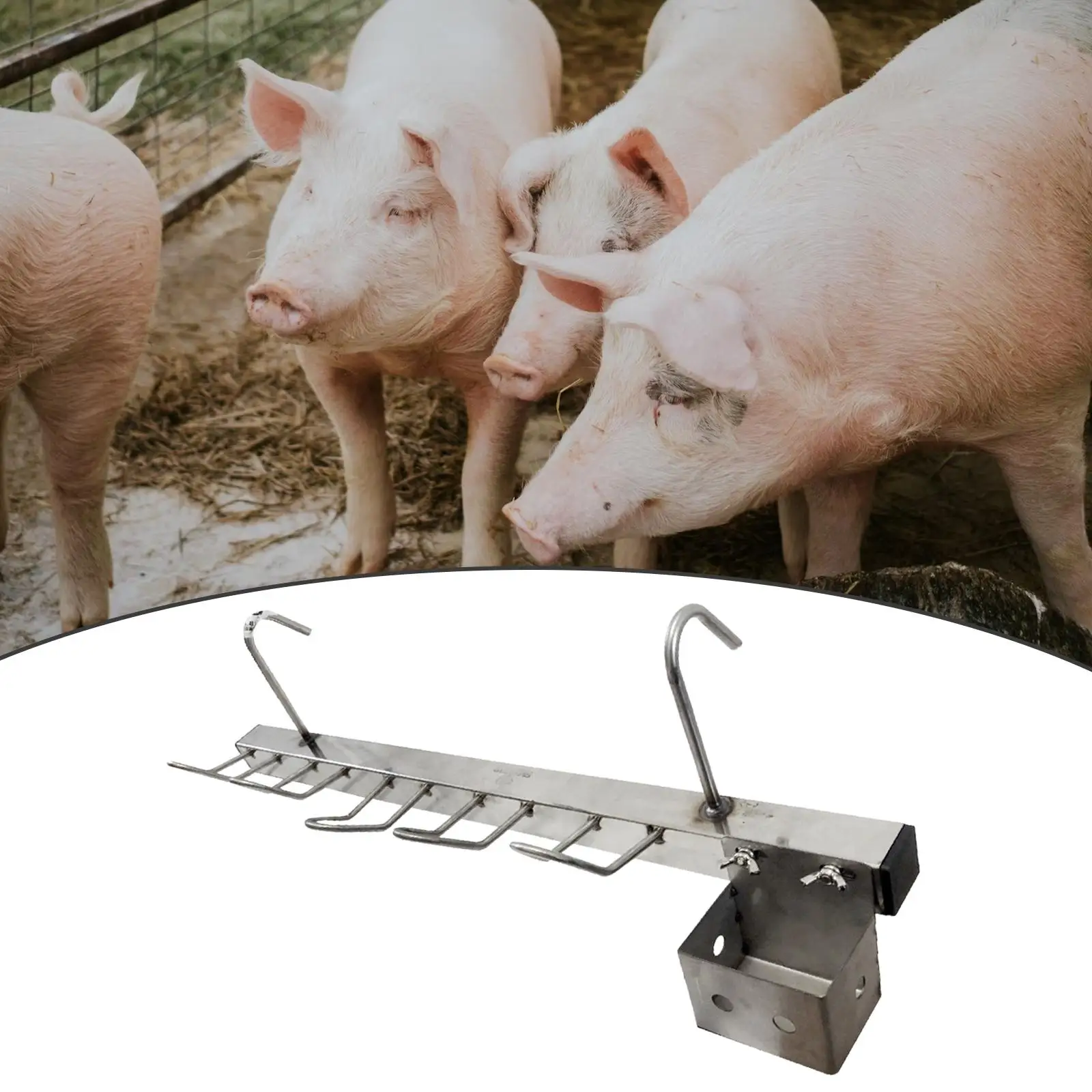 Stainless Steel Piglet Rack Sturdy Farms Portable Zoos Lightweight Heavy Duty Easy to Use Fixing Frame Pig Frame Hanging Rack