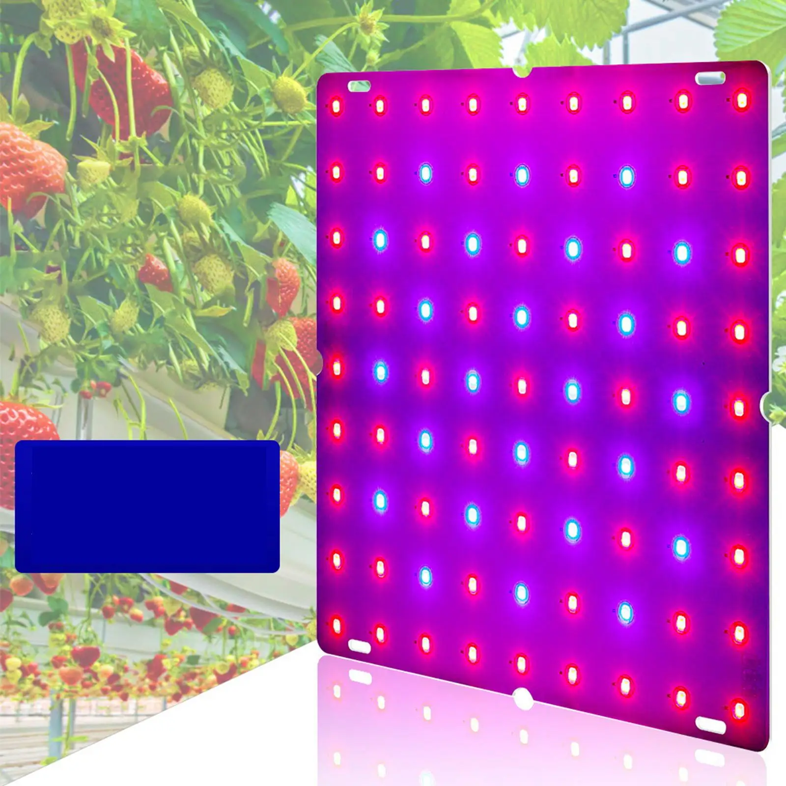 LED Grow Lights for Indoor Plants, Full Grow Light, Plant Grow Light for Seed Starting, Vegetable and Flower