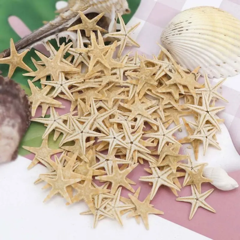 Details about   Natural Starfish Seashell Beach Craft Sea Stars DIY Wedding Decoration Crafts 