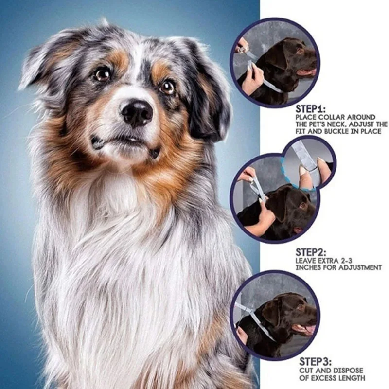 Dropshipping Pet Veterinary Anti-Flea Collar and Ticks Dogs Collar Luxury Designer Antiparasitic,Large Dog Puppy Cat Supplies