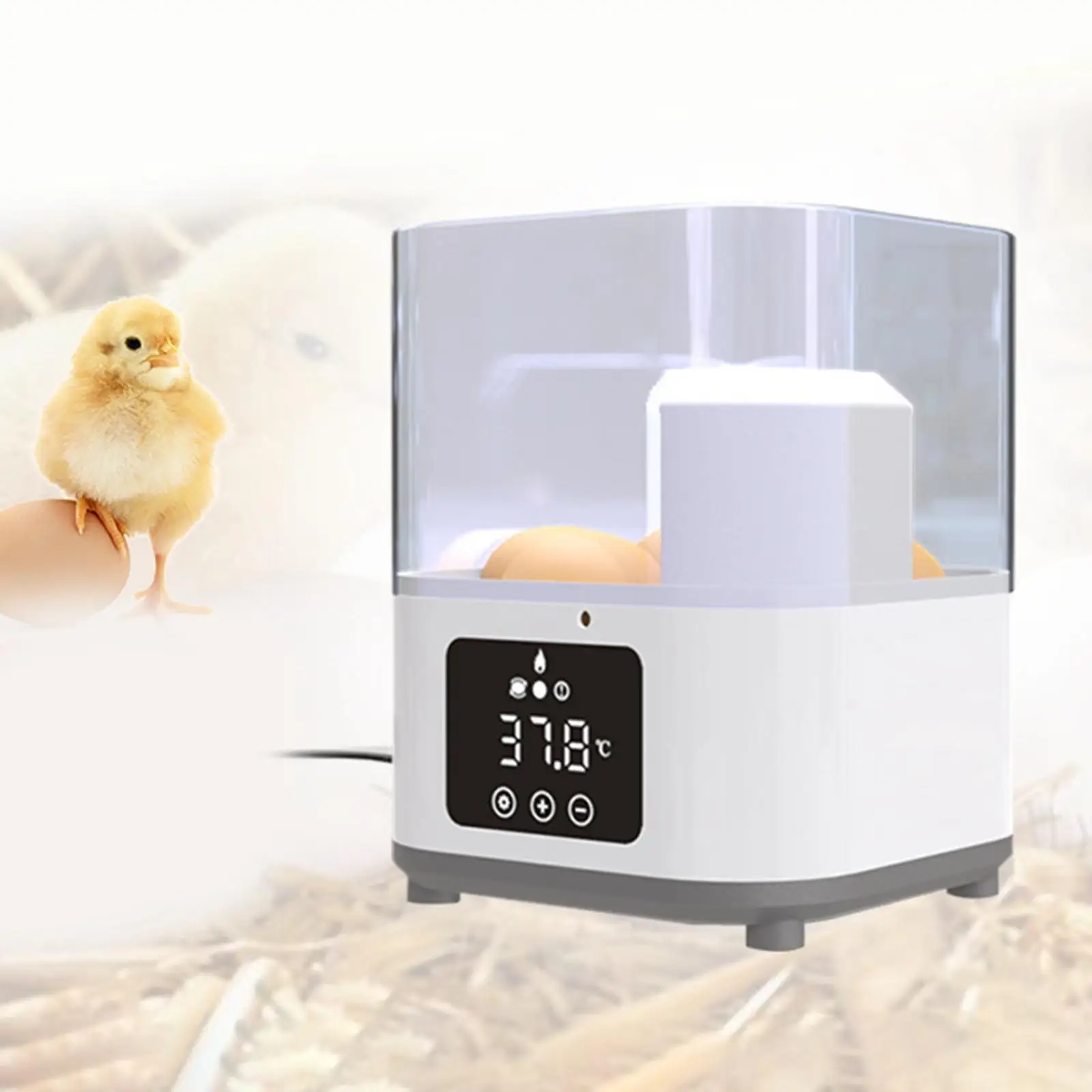 6 Eggs Mini Egg Incubator Brooder Farm Hatchery for Chicken Duck Bird Pigeon Digital Temperature Poultry Incubator