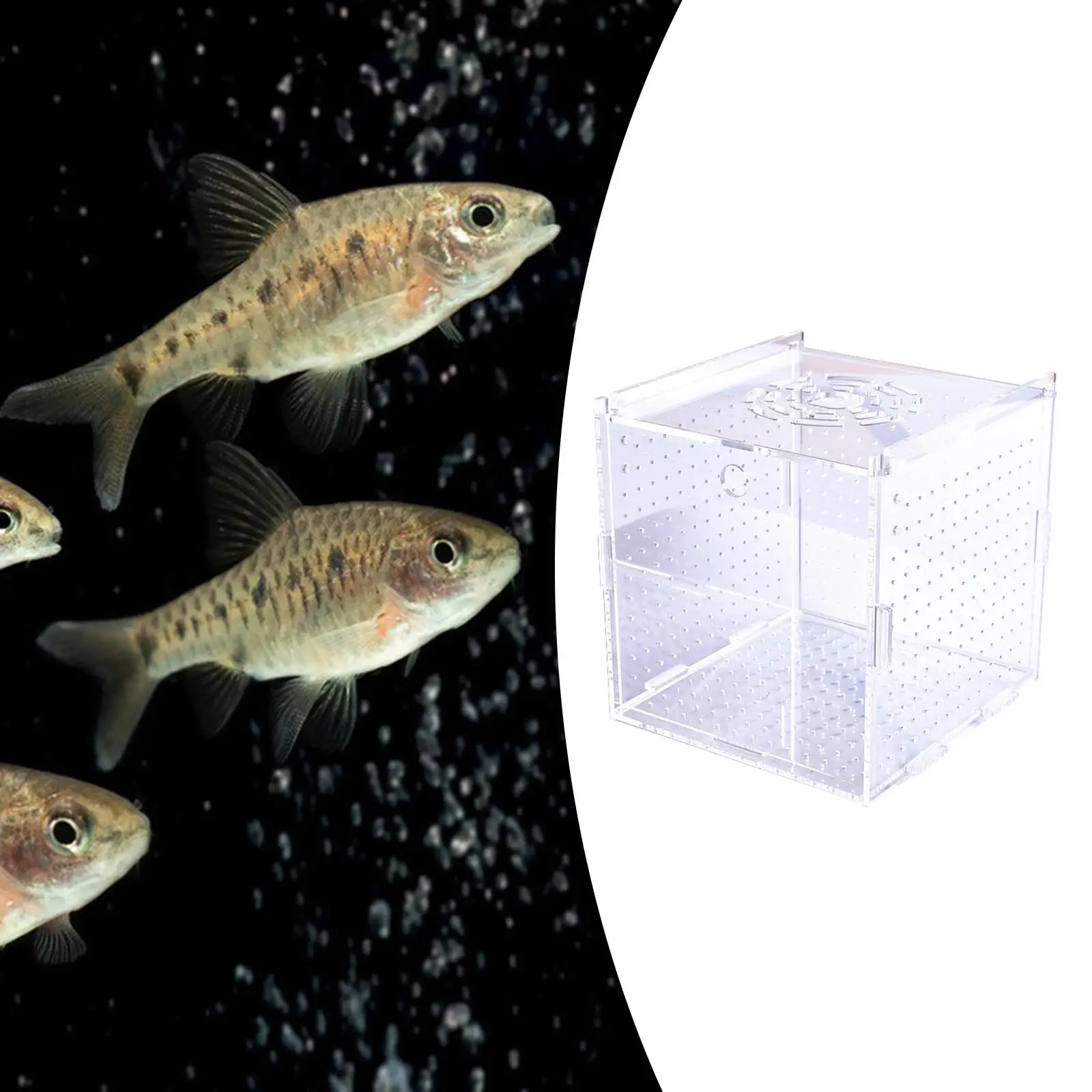 Fish Incubator Fish Hatchery Hanging Transparent Acrylic Fish Breeding Box Aquarium Accessory for Baby Guppy Aquarium