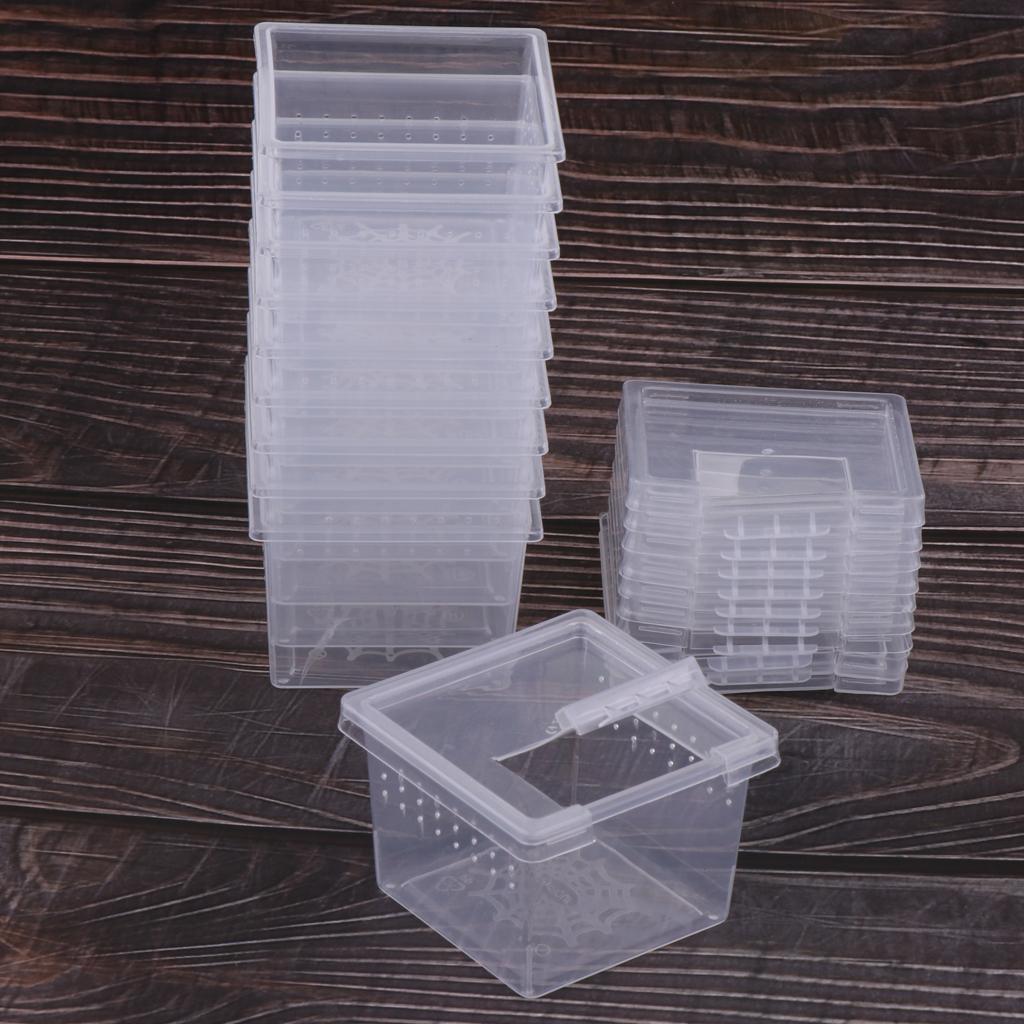 10pcs Clear Plastic Reptile Spider Lizard Scorpion Beetle Insect Breathable Breeding Feeding Box Terrariums Container