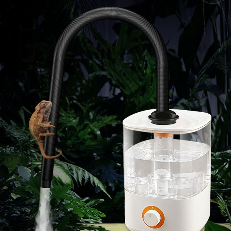 Title 5, Humidificateur de reptiles pour divers amphibie...