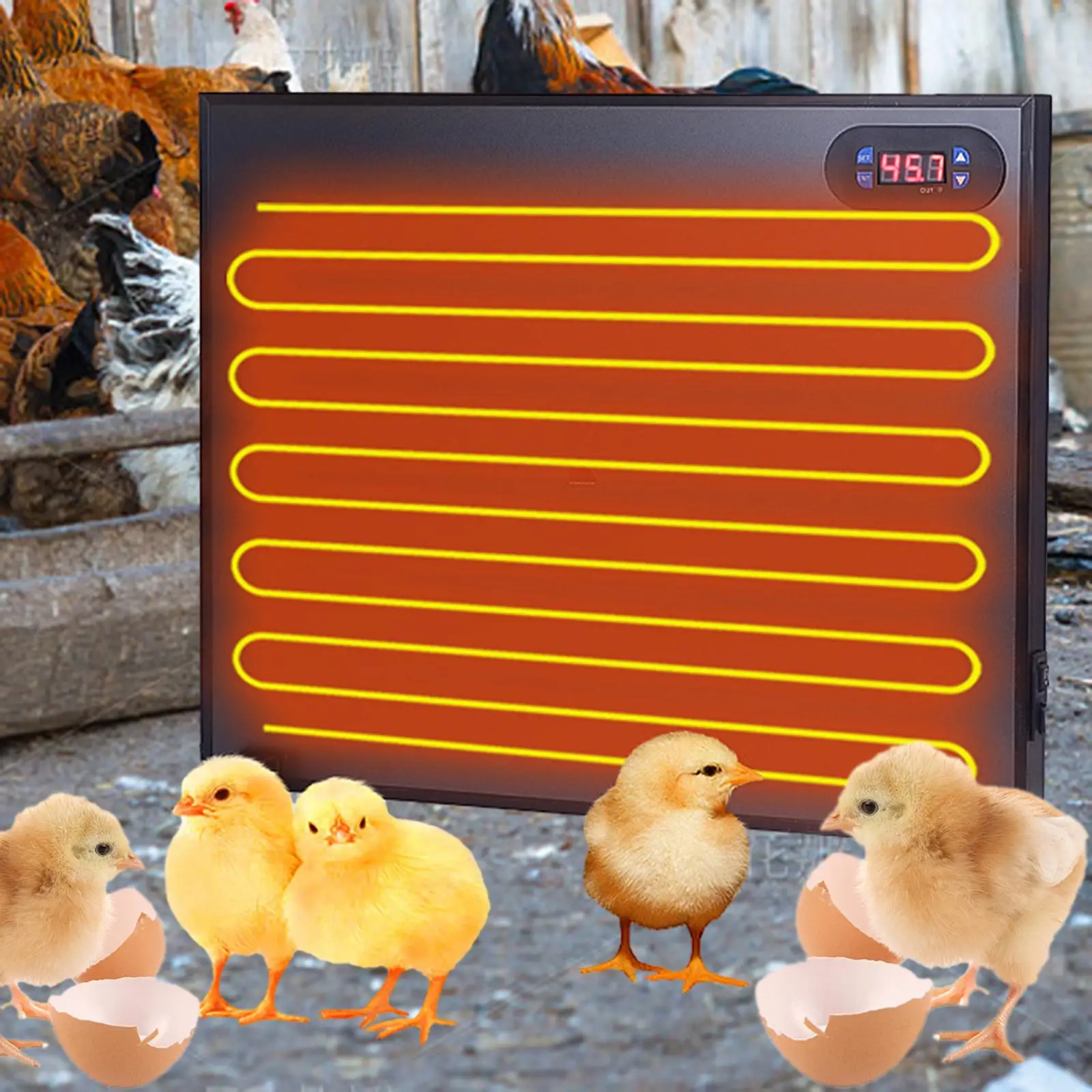 Chicken Coop Heater Warmer Digital Display Heat Panel Pet Heater for Winter Heating Plate for Pets Animals Chick Kitten Puppy