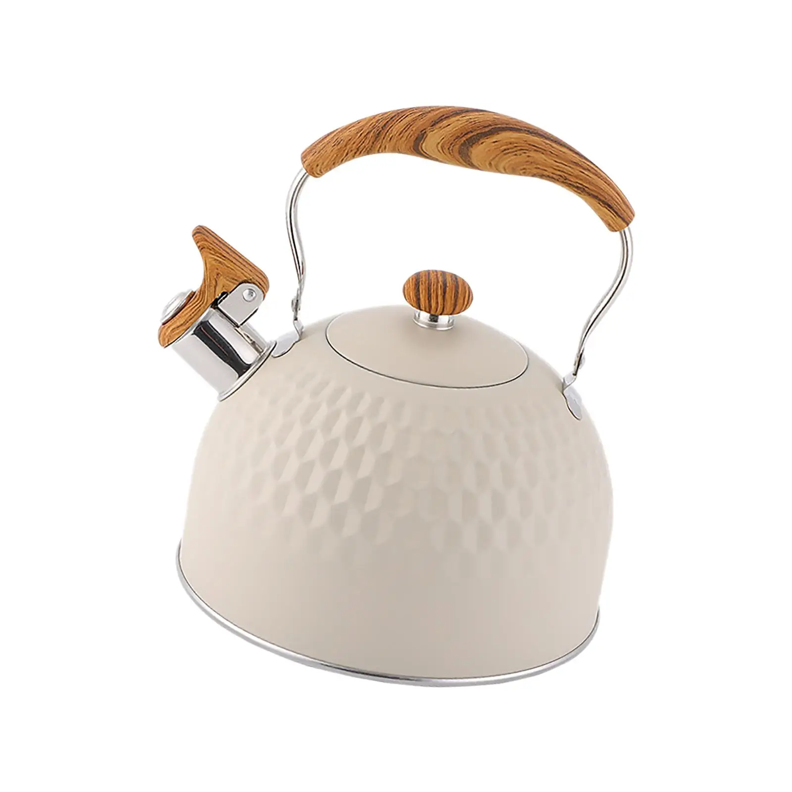 2500ml Tea Kettle with Handle Water Boiling Kettle for Household Cafe