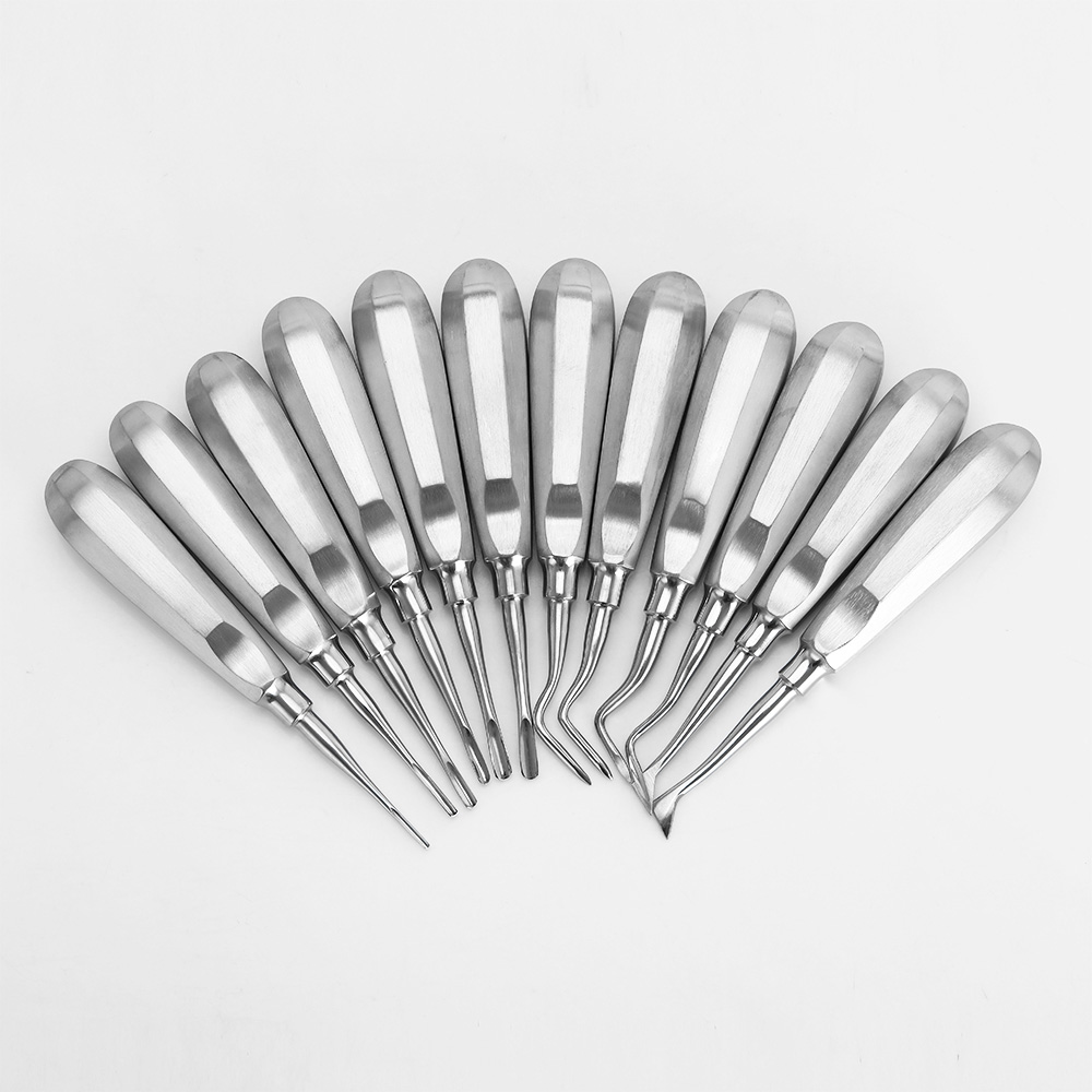 Best of AZDENT 12PCS / Set Dental Elevator Stainless Steel Teeth Extraction Tools Kit Stright Curved Root Elevator Dentist Tools Reviews & Tips - Image 2