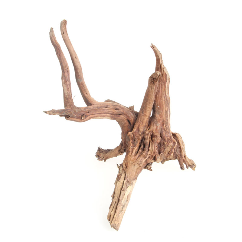 Title 6, Legno naturale legni albero acquario acquario p...