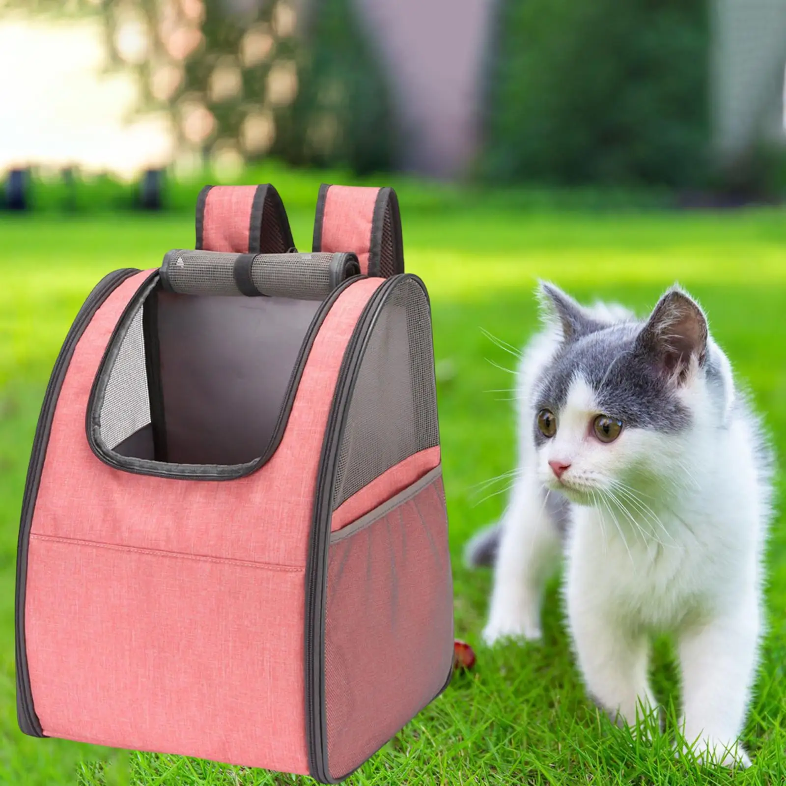 Breathable Collapsible Pet Carrier Small Animal Backpack Hiking Traveling Double Strap