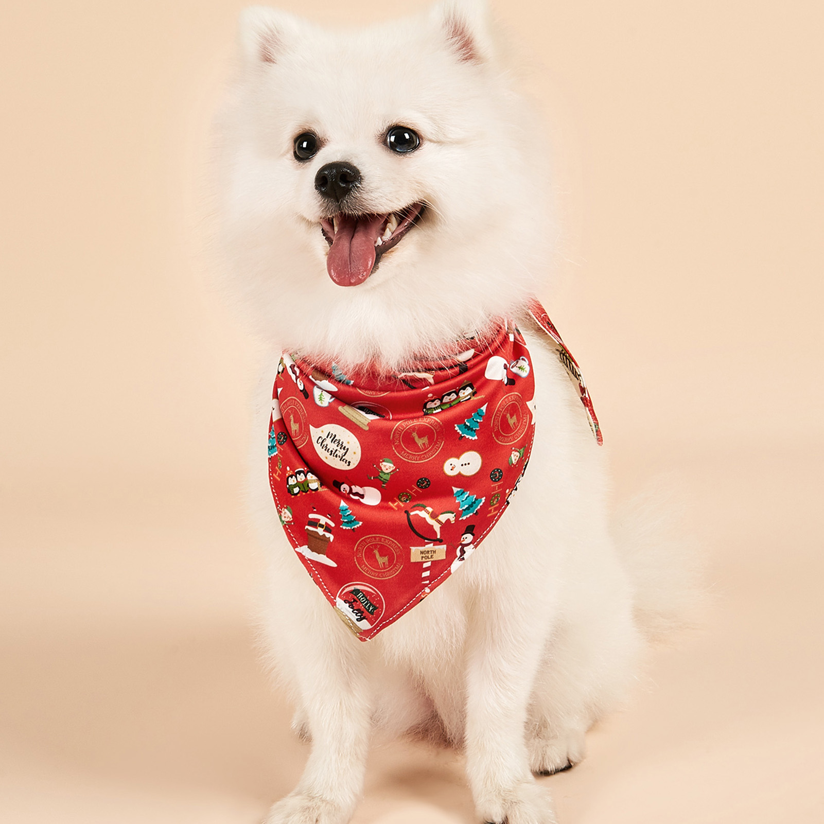 Title 29, Christmas Dog Bandanas Santa Claus Dog Scarf Fo...