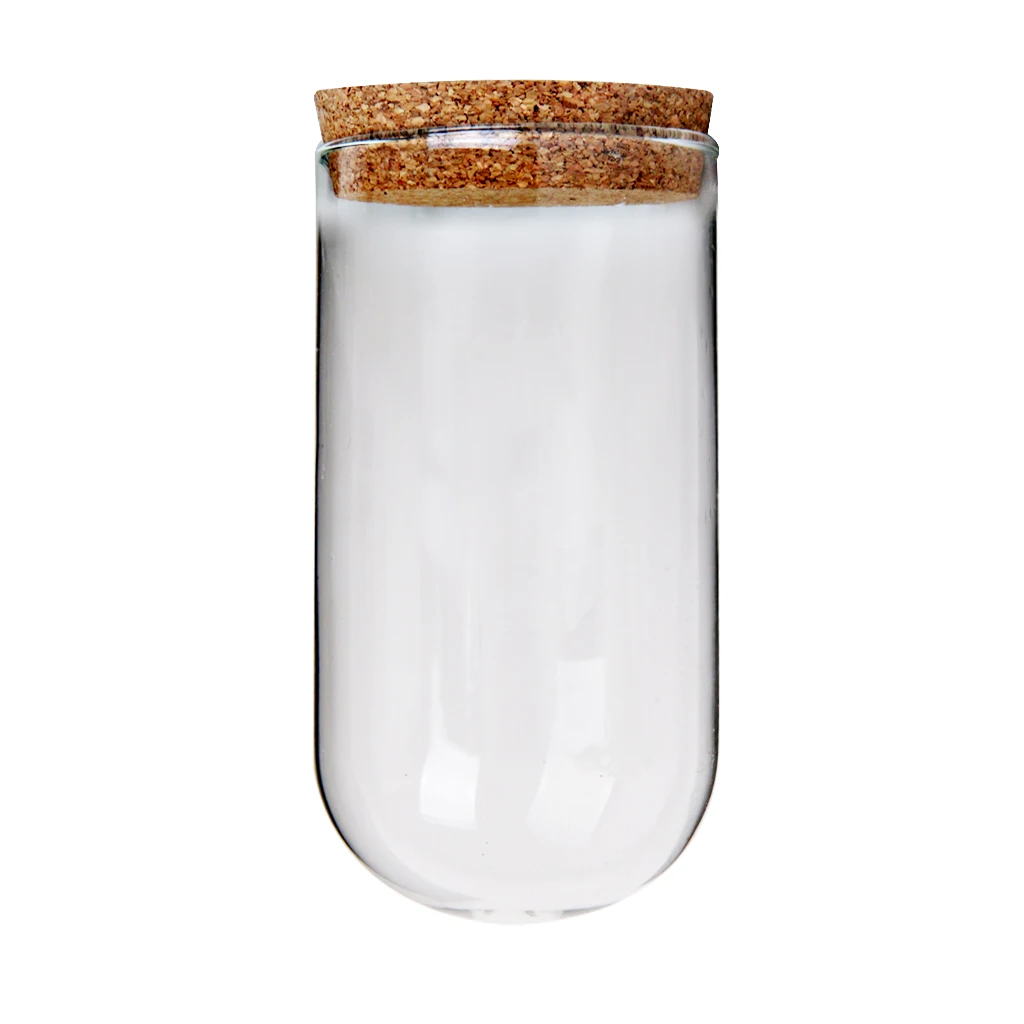 Clear Cover Landscape Terrarium Container Wedding Lid Vase Bottle