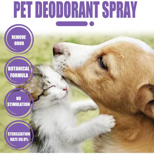 Dog deodorant hotsell spray diy