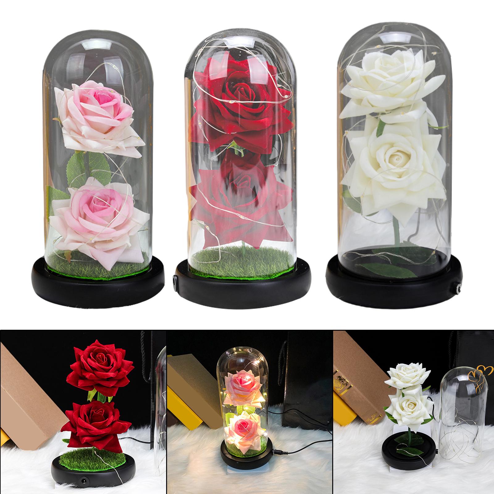 Rosa eterna de la bella y la bestia con luz LED, flor doble en cúpula, en  un frasco, regalo de cumpleaños del Día de San Valentín de la madre|Flores  artificiales y secas| -